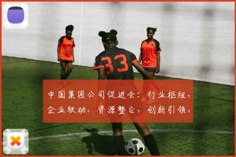 中国集团公司促进会：行业枢纽，企业联动，资源整合，创新引领，服务发展