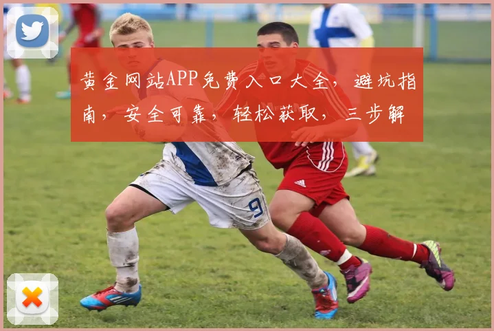 黄金网站APP免费入口大全，避坑指南，安全可靠，轻松获取，三步解锁