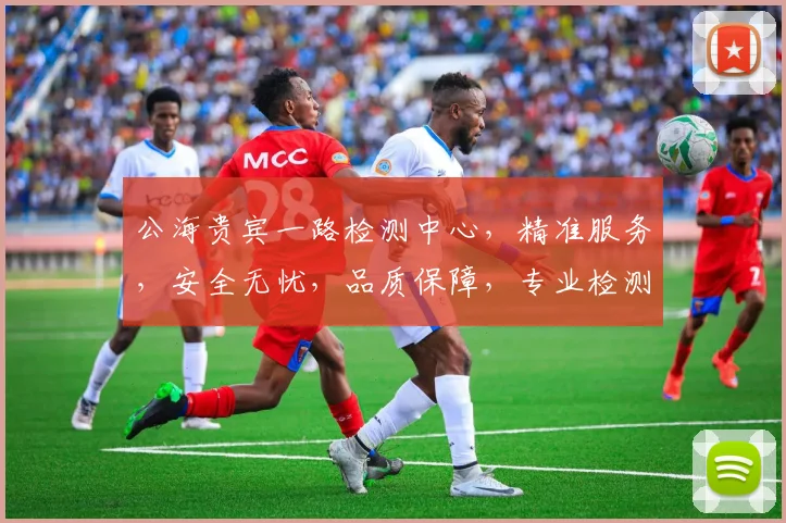 公海贵宾一路检测中心，精准服务，安全无忧，品质保障，专业检测，值得信赖，一站式体验